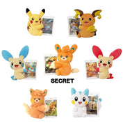 Pokemon TCG Chinese SC Nuzzle Cheeks Plush Toy Card Display Gift Box 1 Full case Pokemon
